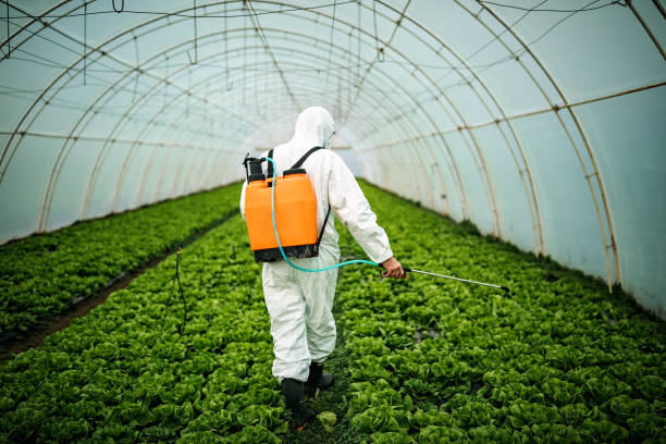 Best Commercial Pest Control Services  in Buffalo, NY