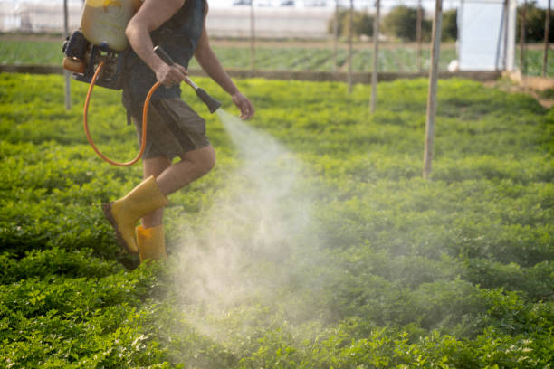 Best Best Pest Control Companies  in Buffalo, NY