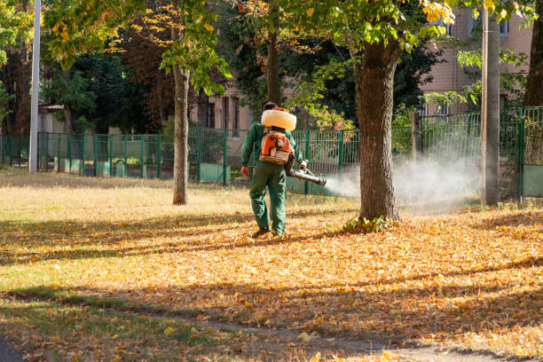Best Best Pest Control Near Me  in Buffalo, NY