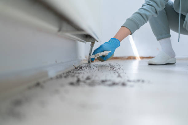 Professional Pest Control in Buffalo, NY